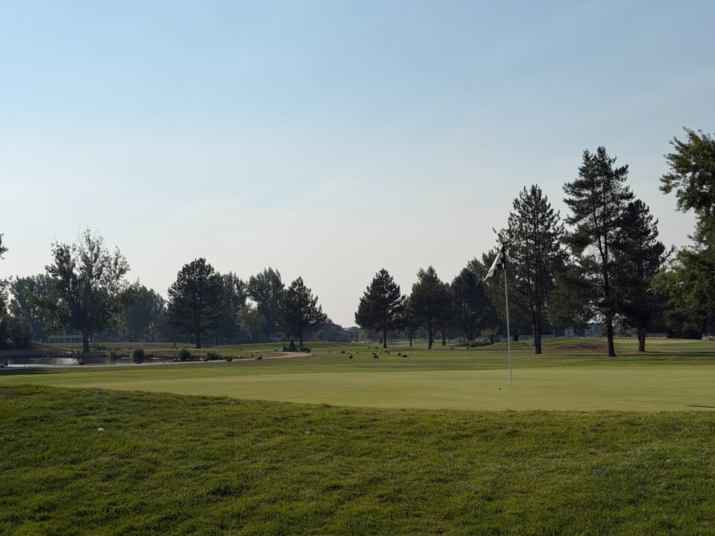 Boise Ranch: AVL lucha, pero queda fuera del Mid-Amateur